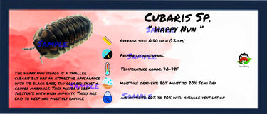 Cubaris Sp. Happy Nun Isopod Bin Label